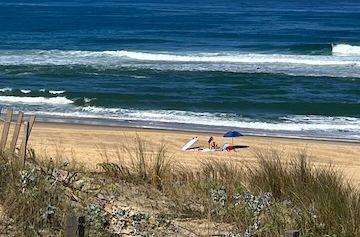 Seignosse beach and ocean viewed from the dunes on a clear day.